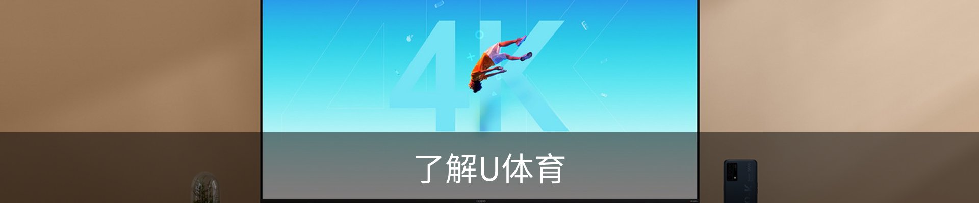 了解U体育